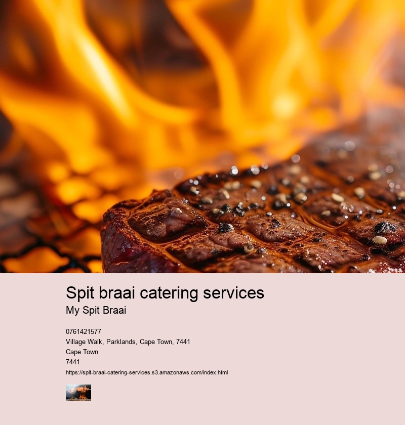 Spit braai catering services
